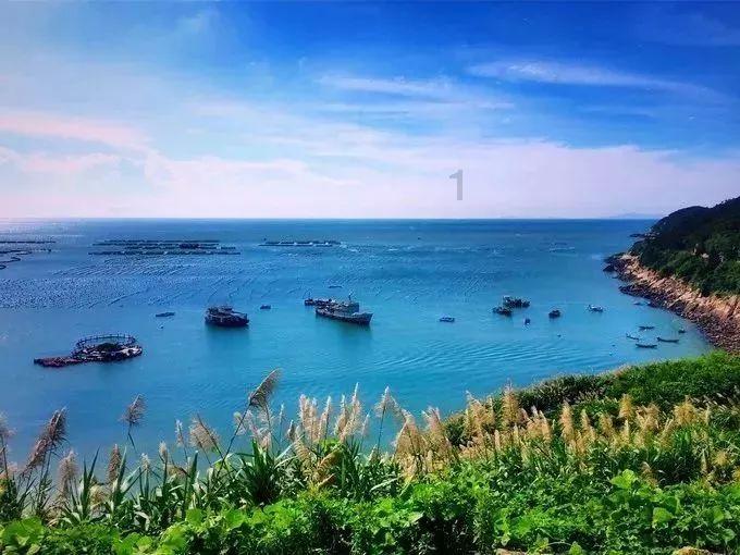 僵尸粉碎机